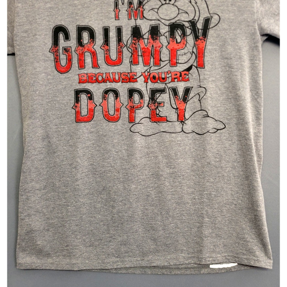 Disney Parks T-shirt Grumpy Adult Medium Gray Heathered Graphic Short Sleeves - Picture 6 of 11